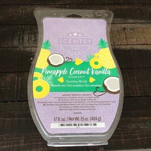 Scentsy brick